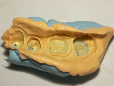 Perfectim02 k1hodh - Eugenol