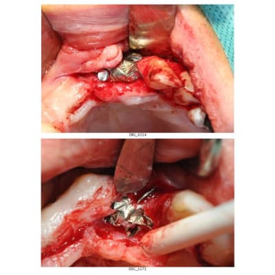 Planche contact 6 q0eri1 - Eugenol