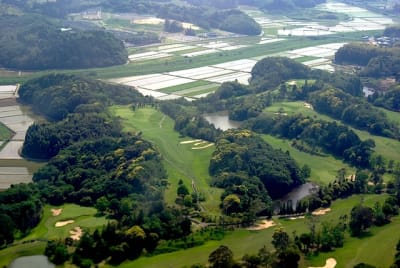 Rz5 hpe21a - Eugenol