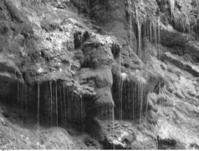 Rando pano bfofsp - Eugenol