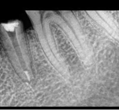 Sans titre k4gyr6 - Eugenol