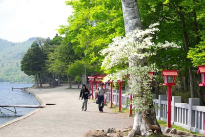 Tk  12  sbwunh - Eugenol