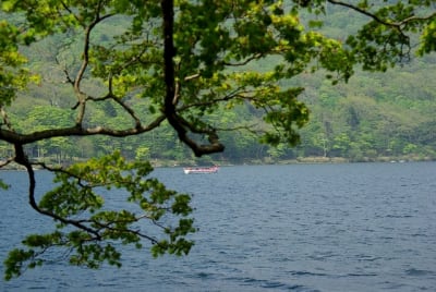 Tk  1  gsagsw - Eugenol