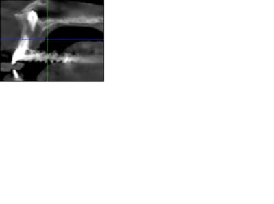 Vans x6vwna - Eugenol