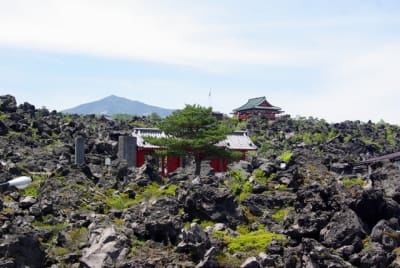 Zbt  4  maoy9j - Eugenol