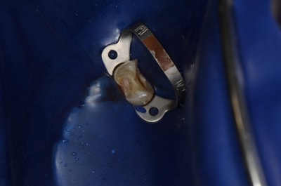  dsc1694 p8eaie - Eugenol