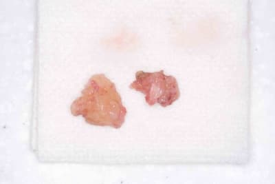  mg 0128 qbwdcl - Eugenol