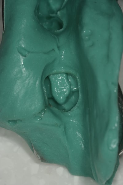  mg 0254 tumntj - Eugenol