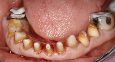 mg 0736 ucu8bj - Eugenol