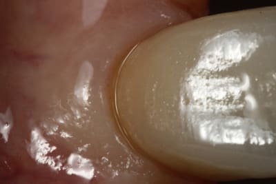  mg 2115 v8igyy - Eugenol
