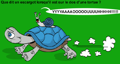 a rame otzgak - Eugenol