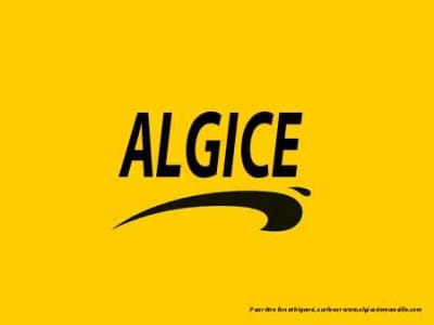 Algice qhnz2v - Eugenol