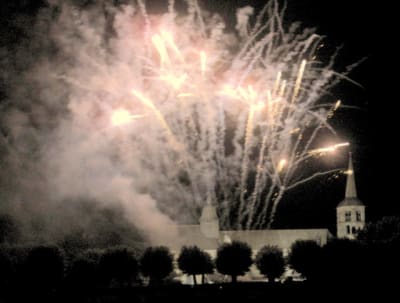 Alsace 2009 marc 483 n2ln7v - Eugenol