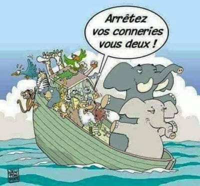 Arche wvovqa - Eugenol