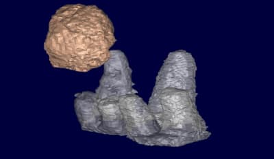 Armand 3d5 f4flq1 - Eugenol