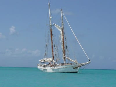 Barbuda mszeia - Eugenol