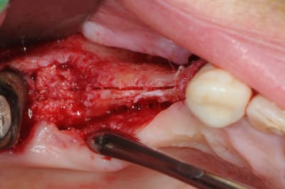 Bppn35ymcyvonjpiotpg - Eugenol