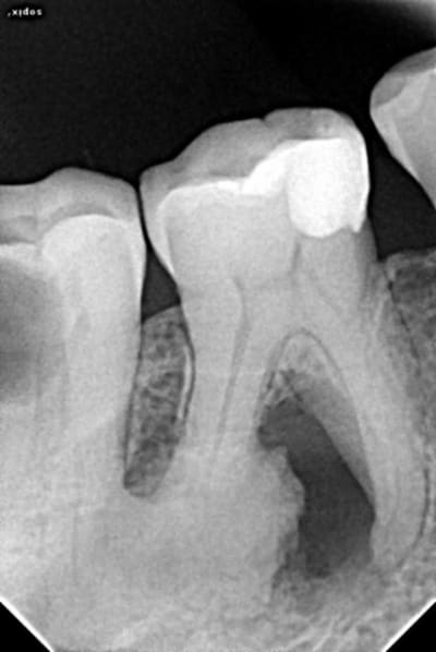 Cas1 aqyuo0 - Eugenol