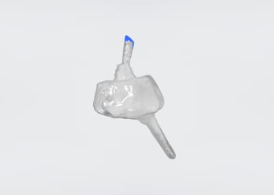 Charles 1 kp8ilg - Eugenol