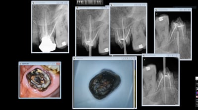 Charles hwnn67 - Eugenol