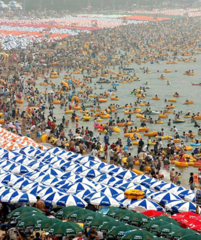 Chine plage qosx15 - Eugenol