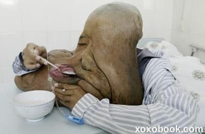 Chineseelephantman k9840o - Eugenol