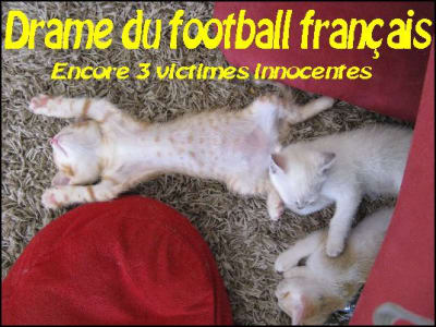 Chs jppl9j - Eugenol