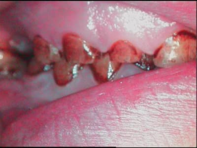 Droit akq4lq - Eugenol