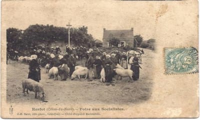 Foire aux cochons 22socialistes 22 h1zgqr - Eugenol
