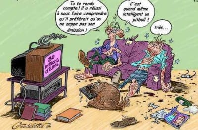 Il est vraiment intelligent lruuws - Eugenol