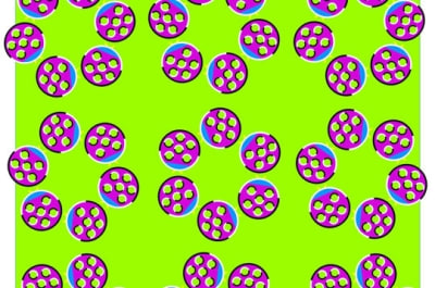 Imagefixe t33xu6 - Eugenol