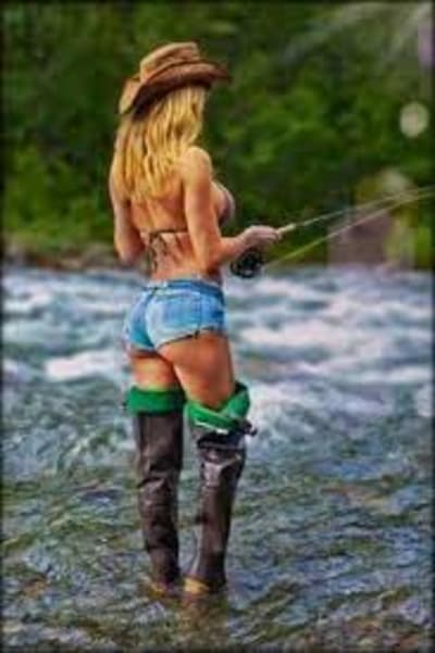 Images 2 wu0yzd - Eugenol