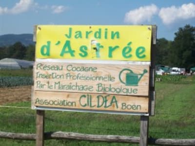 Jardins d astr e rjxoj4 - Eugenol