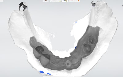 Jb4qxrz7wuhpo6oonctj - Eugenol
