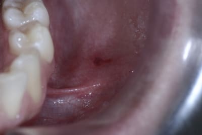 L sion 002 gav6lk - Eugenol