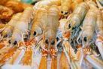 Langoustine2 abde5m - Eugenol