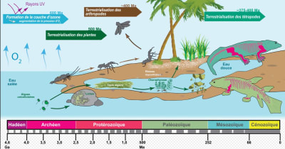 Le retour à la source kdiu0t - Eugenol