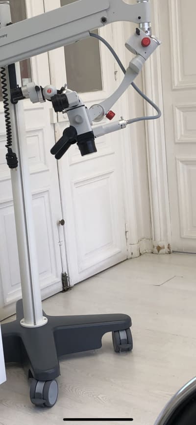 Lmdodwkx9zdh5ihtkjho - Eugenol