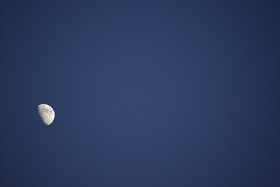 Lune q6ancv - Eugenol