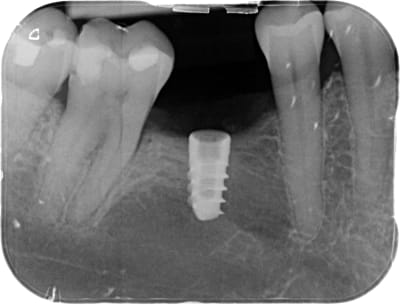 M4tjqsesbtda5nbm5icy - Eugenol