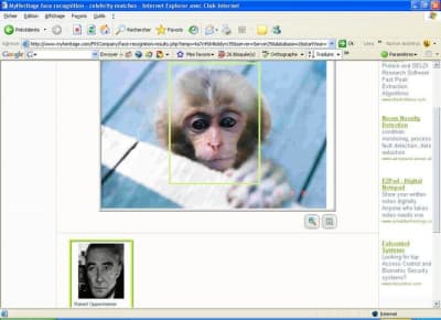 Macaque oppenheimer gvx6ot - Eugenol
