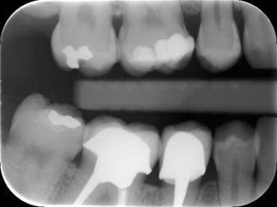 Maud 2 aj43fm - Eugenol