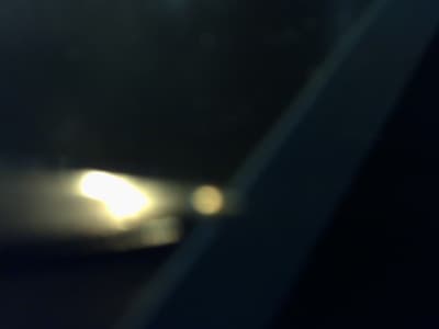 Micro 009 d7isym - Eugenol