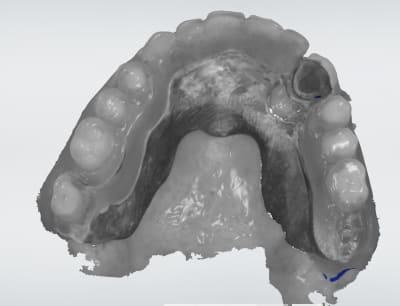 Moedxo1i8ouwbrjfeozn - Eugenol