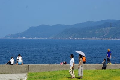 Ndch  19  begcjc - Eugenol