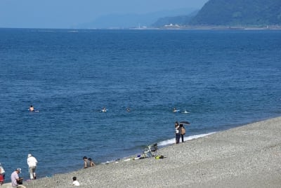 Ndch  29  n5vfvn - Eugenol