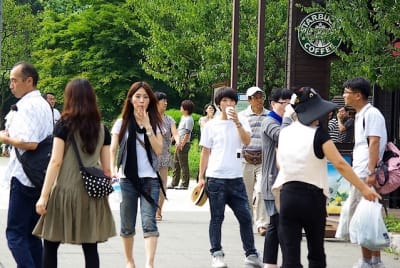 Ndch  36  tjsgqq - Eugenol