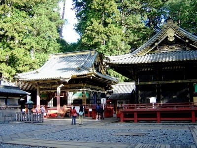 Nikko2 coaehu - Eugenol