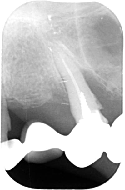 Njxjmdwruu9klwof1dgq - Eugenol