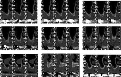 Nouveau 6 xpgmi1 - Eugenol